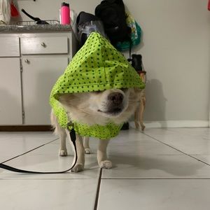 Meet your Posher, Kiyori